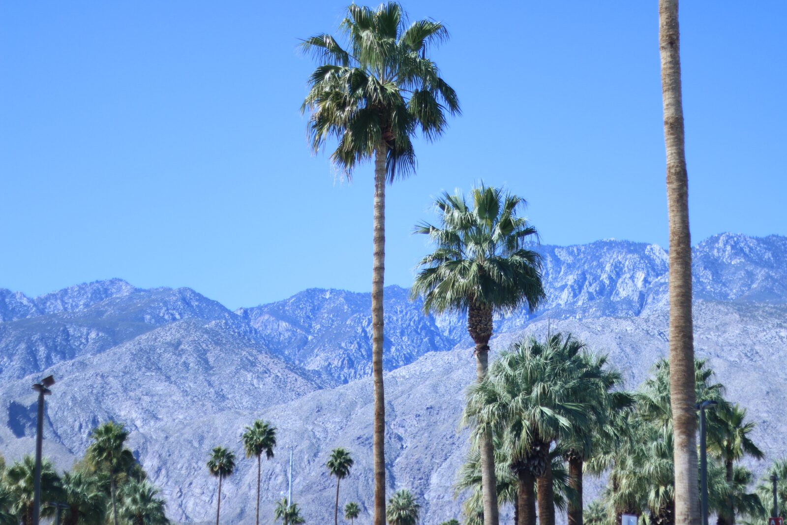 15 Tips For Alt Summit First Timers - Things To do in Palm Springs